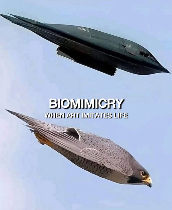 Biomimicry - When Art Imitates Life