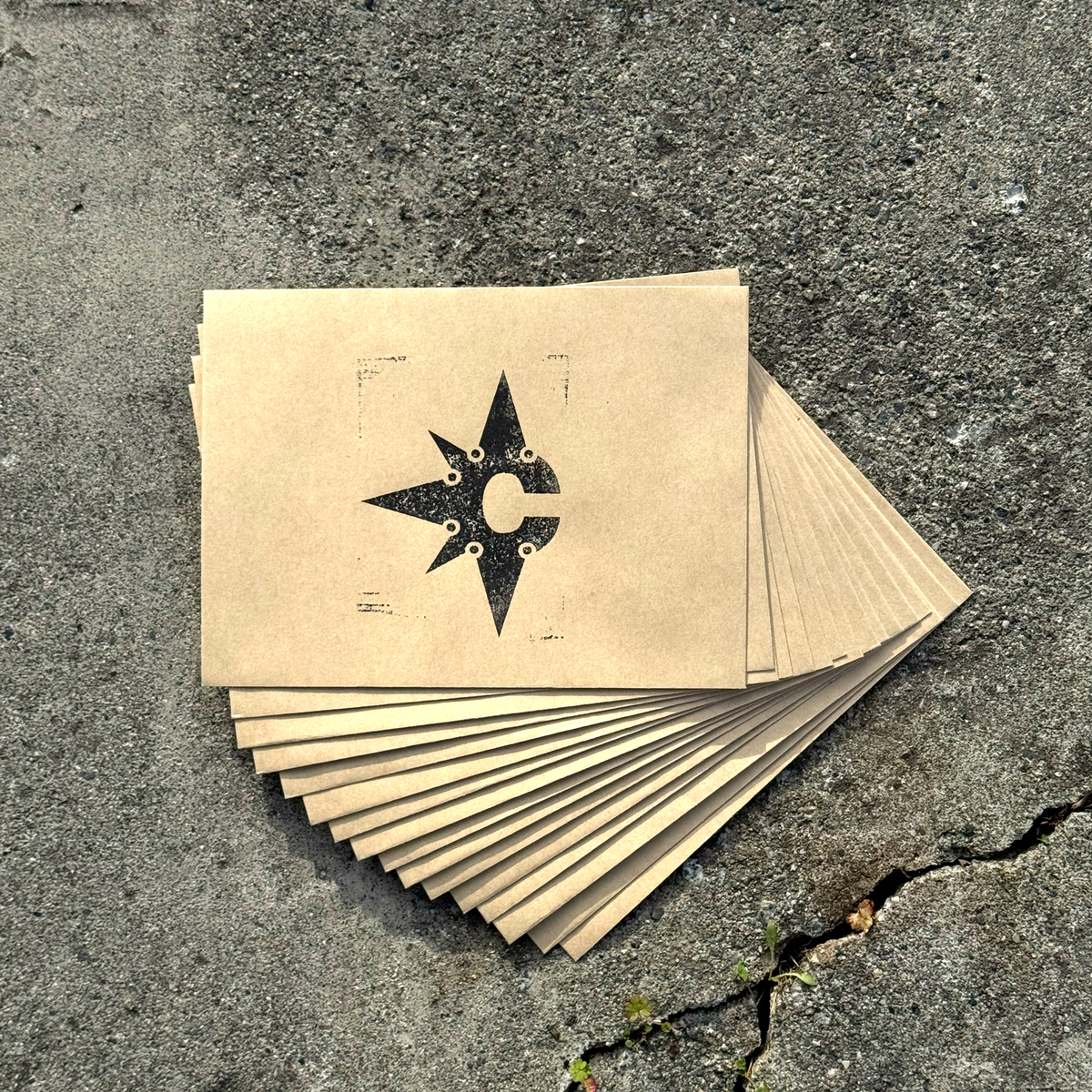 ARTIFACT #005